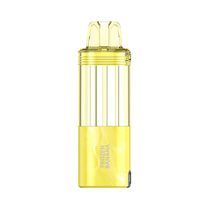 Foger 30k 5% Disposable Pod Only