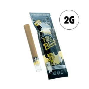 Fill-a Blunts Glass Tipped Cones