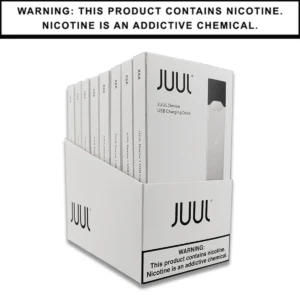 Juul Basic Kit